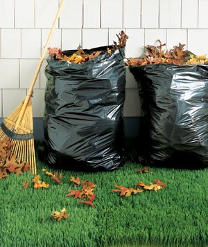 Two black garbage bags filled with fallen leaves are placed on grass next to a rake.