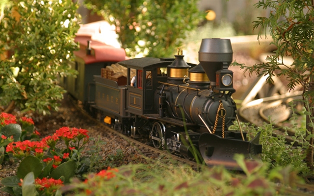 Model steam train with black engine and red passenger car travels on a track through a garden with green plants and red flowers.