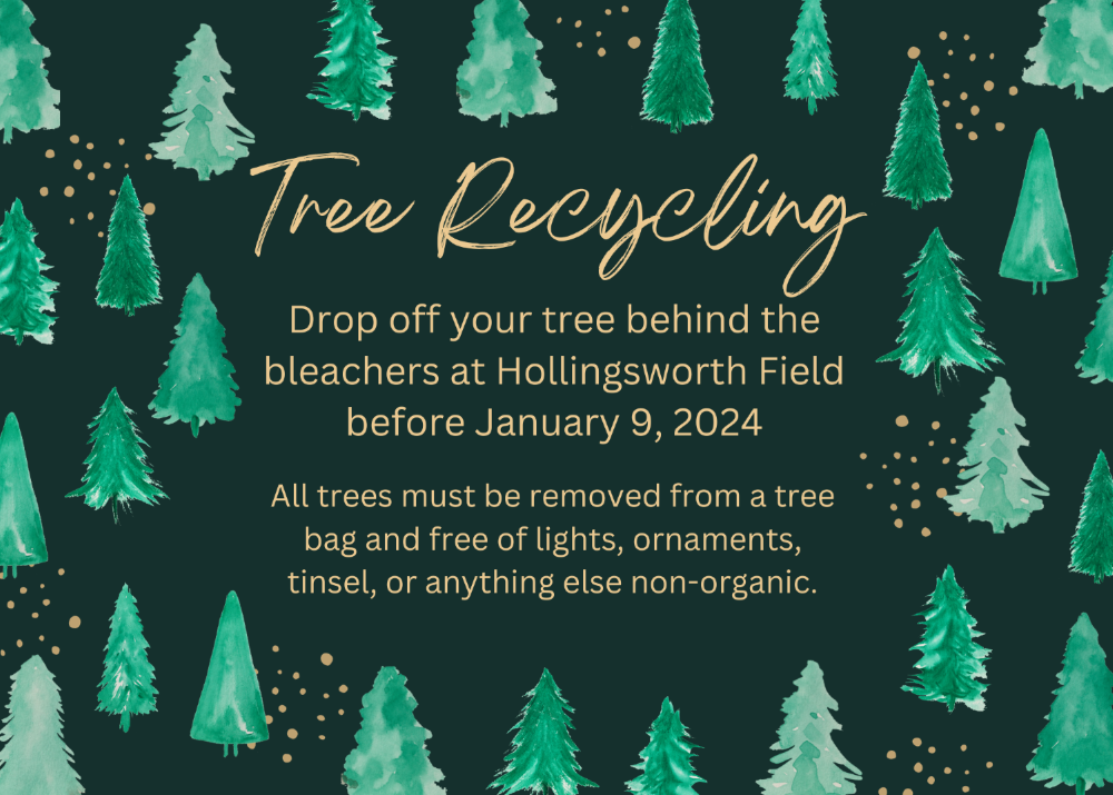 Tree recycling event announcement with instructions to drop off trees at Hollingsworth Field before January 9, 2024.