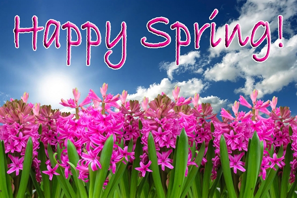 Pink flowers with green leaves under a blue sky and text saying 
