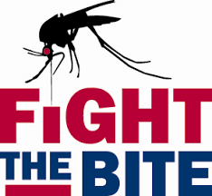 The image shows a mosquito above bold text reading 
